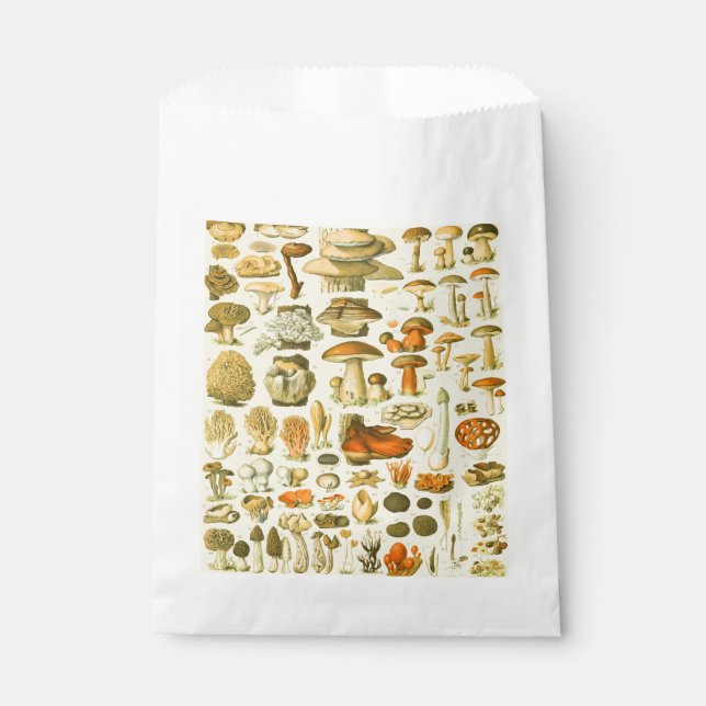 Mushroom Vintage Toadstool Antique Illustration Favour Bag (Front)