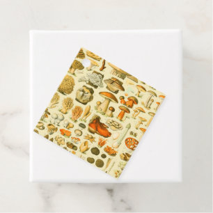 Mushroom Vintage Toadstool Antique Illustration Favour Tags