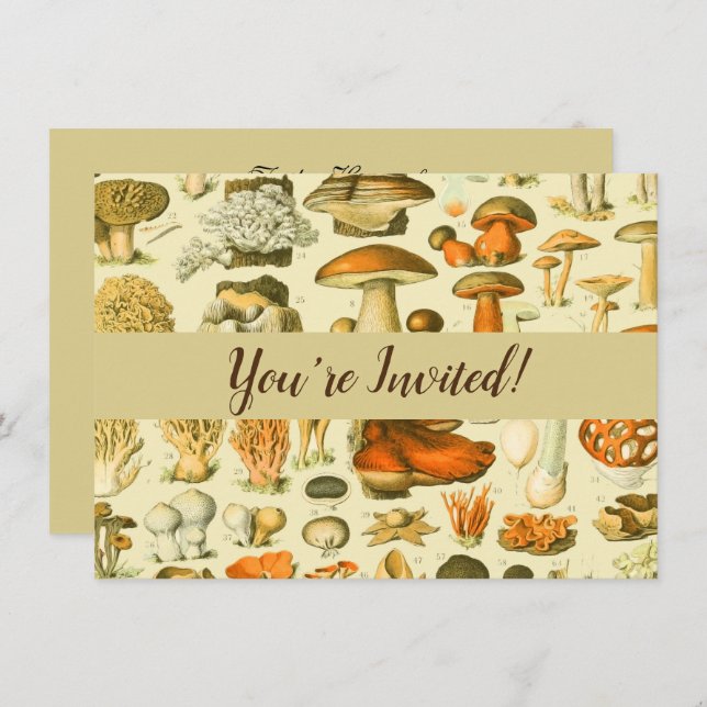 Mushroom Vintage Toadstool Antique Illustration Invitation (Front/Back)