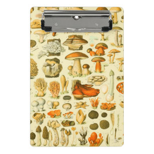 Mushroom Vintage Toadstool Antique Illustration Mini Clipboard
