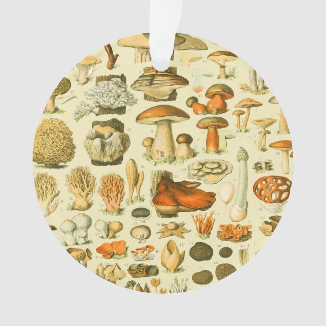 Mushroom Vintage Toadstool Antique Illustration Ornament (Front)