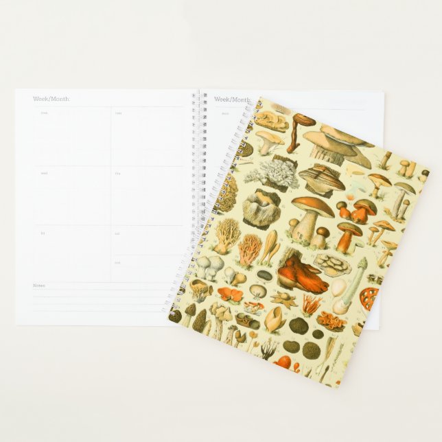 Mushroom Vintage Toadstool Antique Illustration Planner (Display)