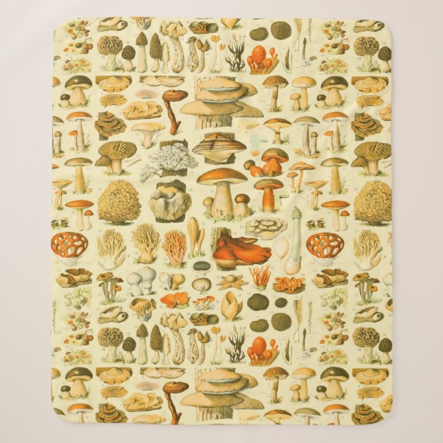 Mushroom Vintage Toadstool Antique Illustration Sherpa Blanket (Front)