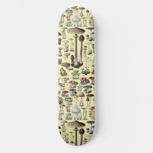 Mushroom Vintage Toadstool Antique Illustration Skateboard