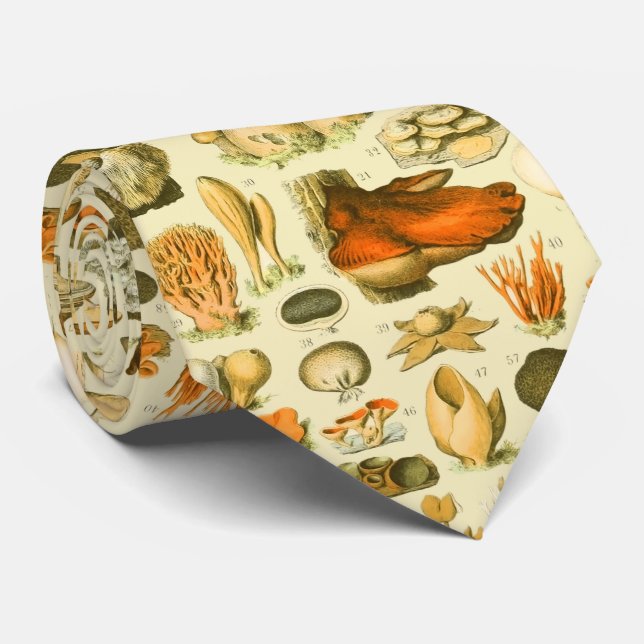 Mushroom Vintage Toadstool Antique Illustration Tie (Rolled)