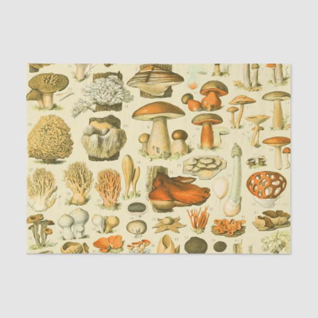 Mushroom Vintage Toadstool Antique Illustration Tissue Paper (Front)