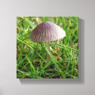 Mushroom Wall Decor Canvas Print