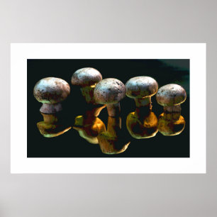 Mushrooms #2-Poster Poster