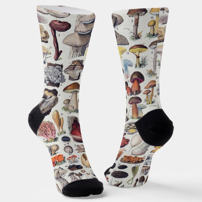 Mushrooms 2 socks (Angled)