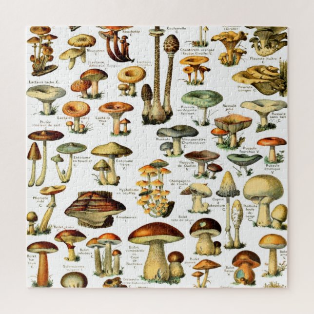 MUSHROOMS 4  JIGSAW PUZZLE (Vertical)