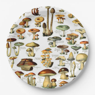 MUSHROOMS 4    PAPER PLATE