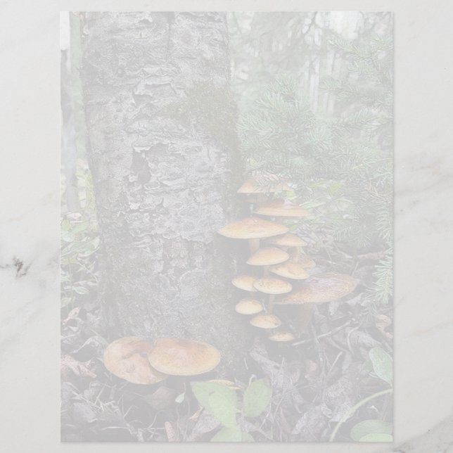 Mushrooms -  8.5" x 11" Stationery Sheet (Front)