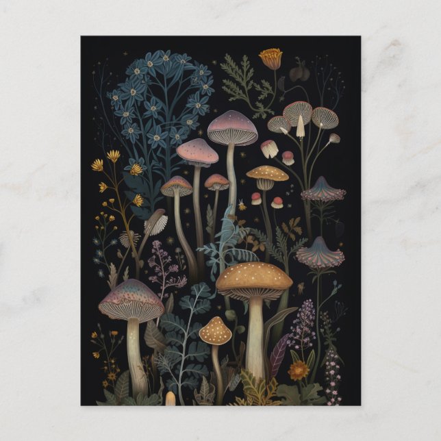 Mushrooms and Flowers Postcard (Front)