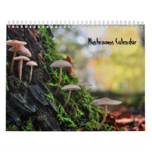 Mushrooms Calendar