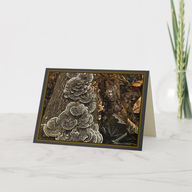 mushrooms card (Front)