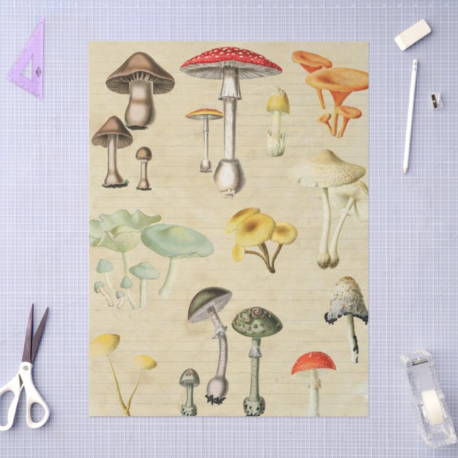 Mushrooms Collage  Tissue Paper (Craft)