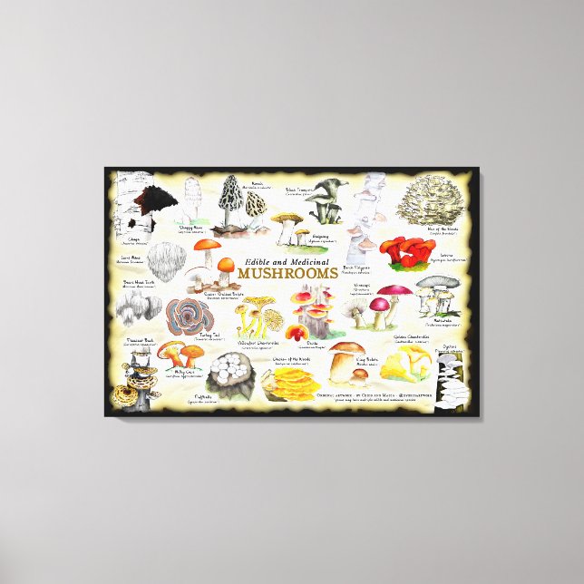 Mushrooms (edible and medicinal) Large Canvas (Front)