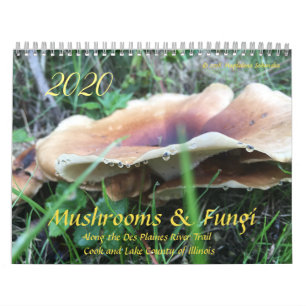 Mushrooms & Fungi 2020 Calendar