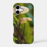 Mushrooms, fungi, mosses