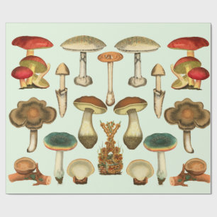 Mushrooms Fungi Plants Botanical Garden collage  Wrapping Paper
