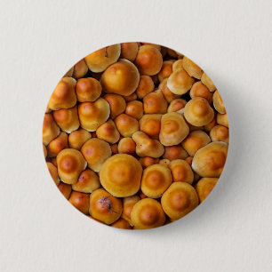 Mushrooms Fungus 2 Inch Round Button