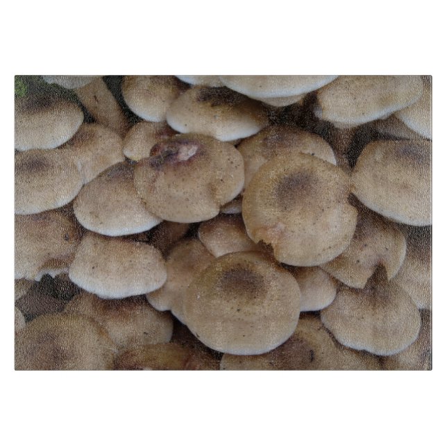 Mushrooms growing in a cluster original photo art cutting board (Front)