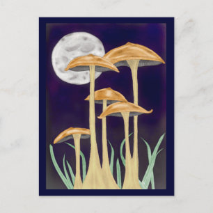Mushrooms In Moonlight Postcard