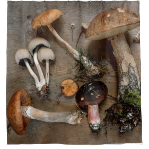 Mushrooms Love Fungi
