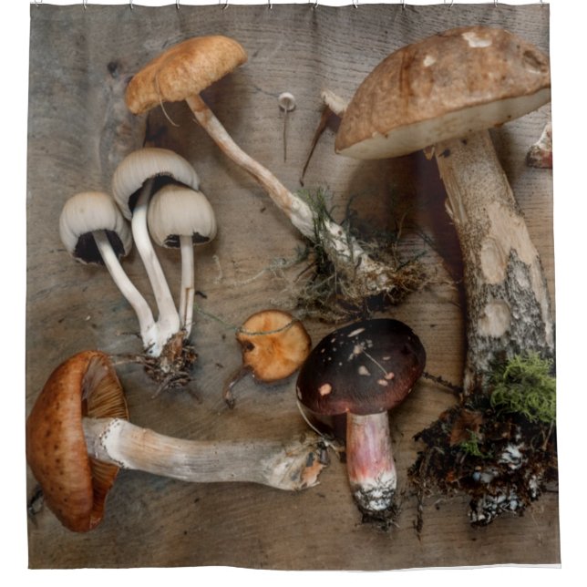 Mushrooms  Love Fungi (Front)