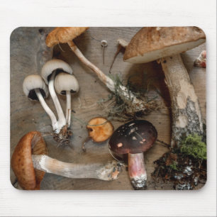 Mushrooms Love Fungi Mouse Pad