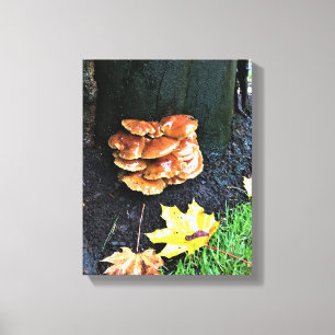 Mushrooms on a Tree, Oregon Canvas Print
