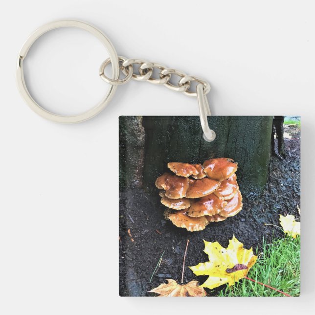 Mushrooms on a Tree, Oregon Keychain (Front)