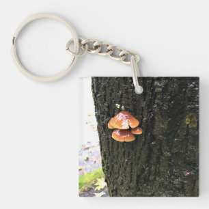 Mushrooms on a Tree, Oregon Keychain