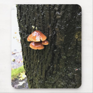 Mushrooms on a Tree, Oregon Mouse Pad