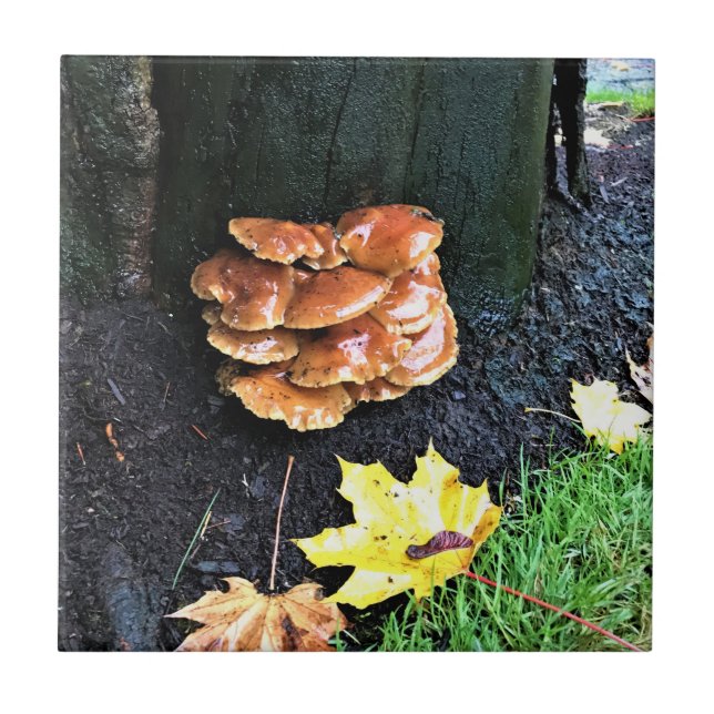 Mushrooms on a Tree, Oregon Tile (Front)