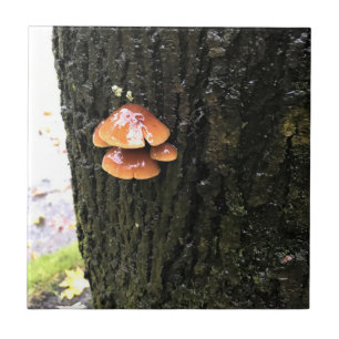Mushrooms on a Tree, Oregon Tile