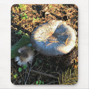 Mushrooms, Oregon Mouse Pad