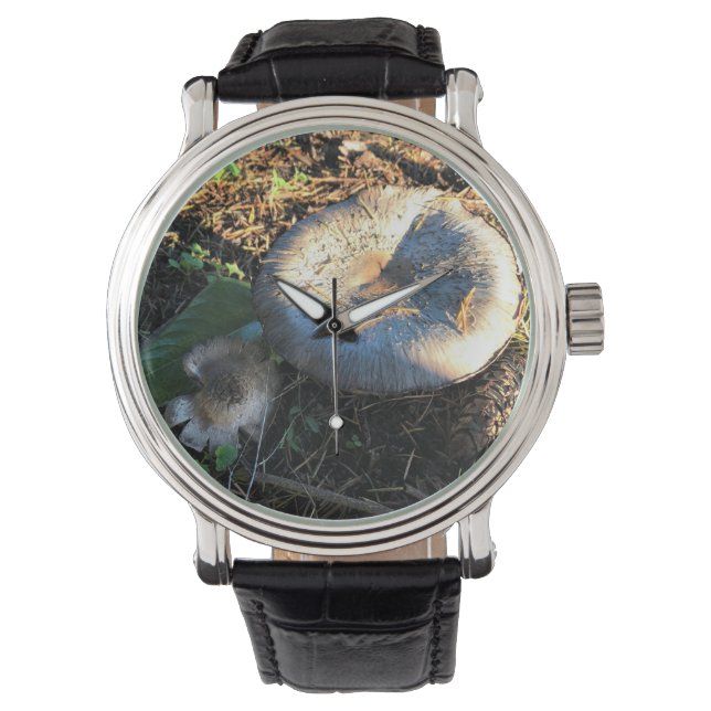 Mushrooms, Oregon Watch (Front)