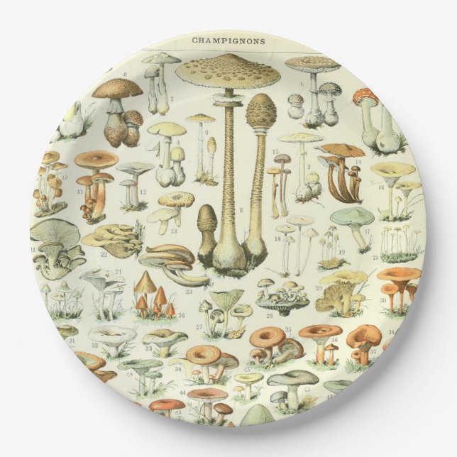 Mushrooms Paper Plate (Front)