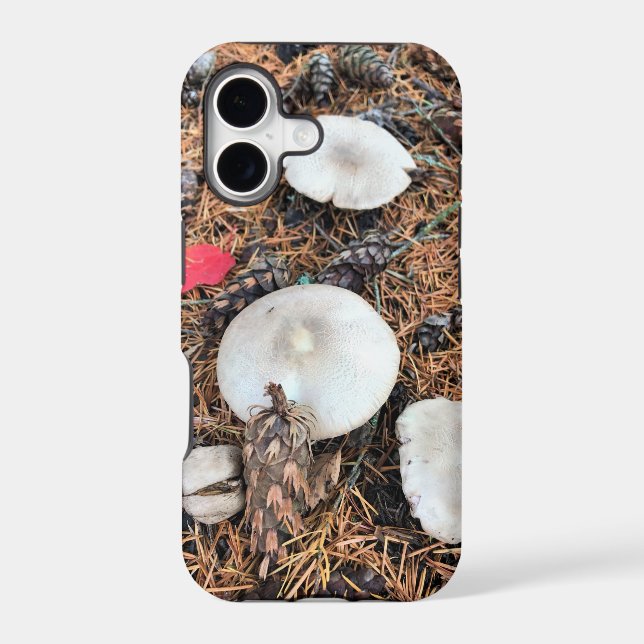 Mushrooms & Pine Cones (Back)
