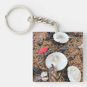 Mushrooms & Pine Cones Keychain