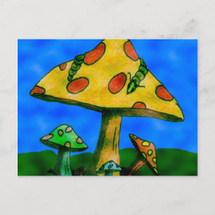 Mushrooms Postcard