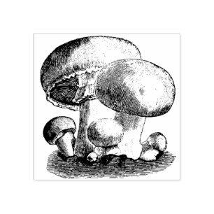 Mushrooms Rubber Stamp