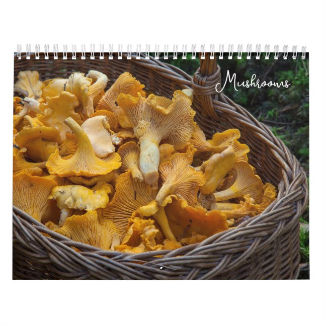 Mushrooms Scenic Fungi Foraging  Calendar (Cover)