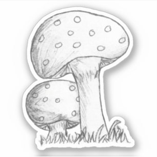 Mushrooms Sketch