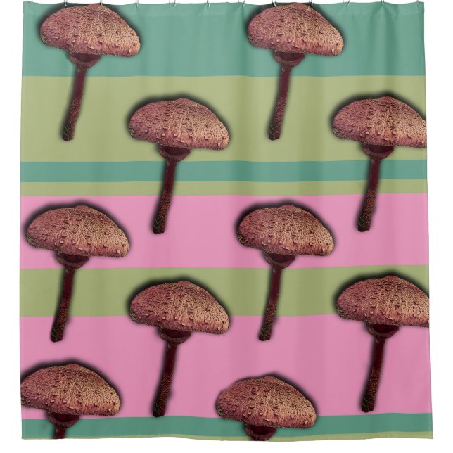 Mushrooms & Stripes  Shower Curtain (Front)