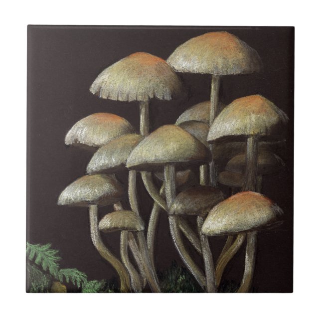Mushrooms Tile (Front)