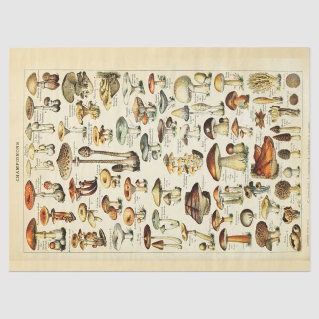 Mushrooms Vintage Decoupage Tissue Paper (Front)