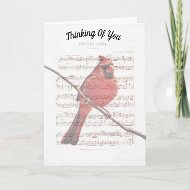 Music Cardinal Thinking of You Note Card (Front)
