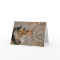 Music & Cats Card